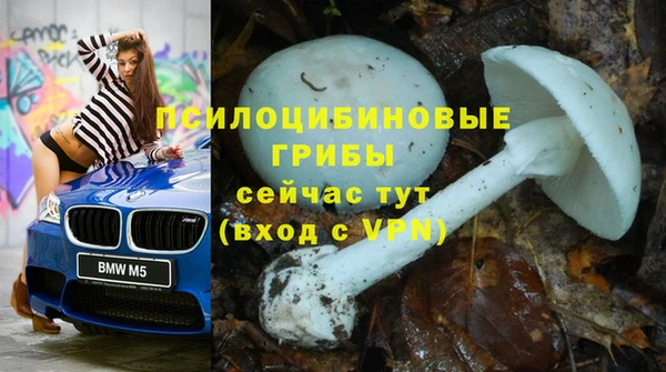 молекула духа Абинск