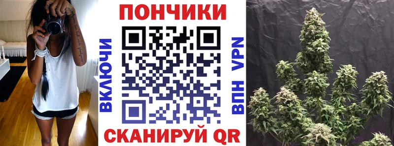 МАРИХУАНА сатива  Тавда 